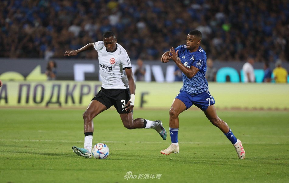 调查过程 调查过程